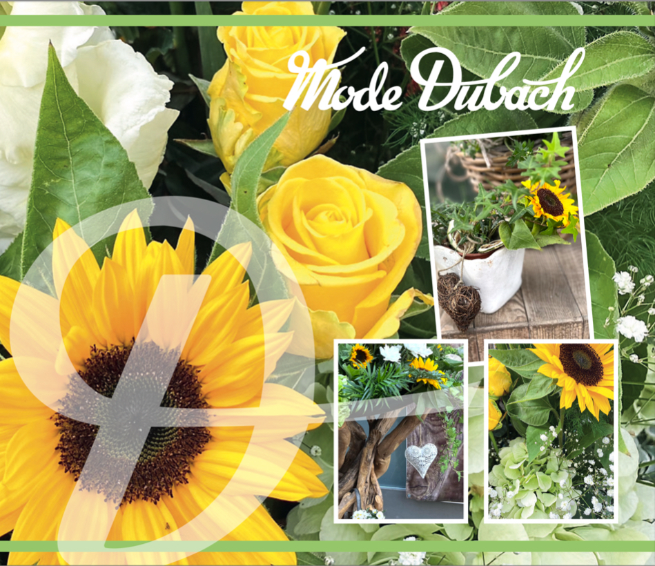 img_3603.jpg img_3603.jpg