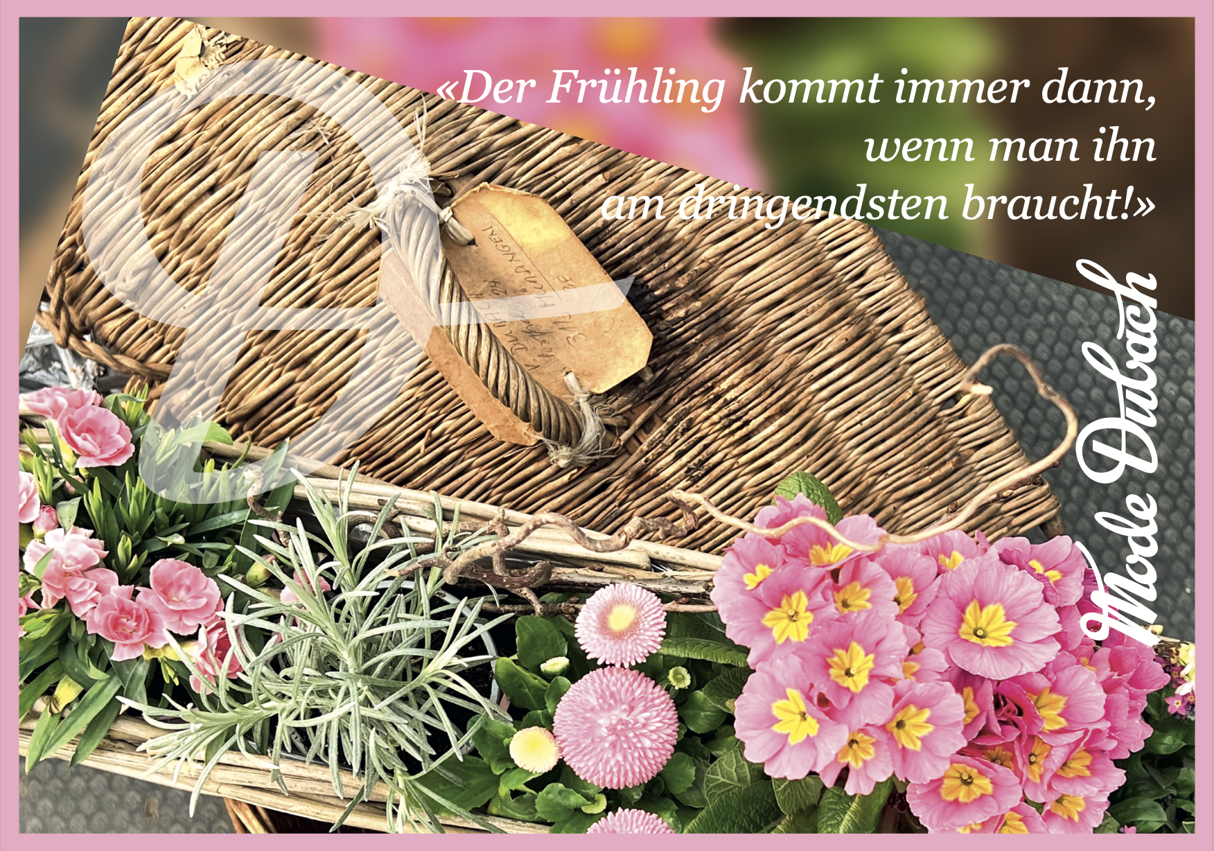 bildschirmfoto_2025-01-31_um_08.55.31.png bildschirmfoto_2025-01-31_um_08.55.31.png